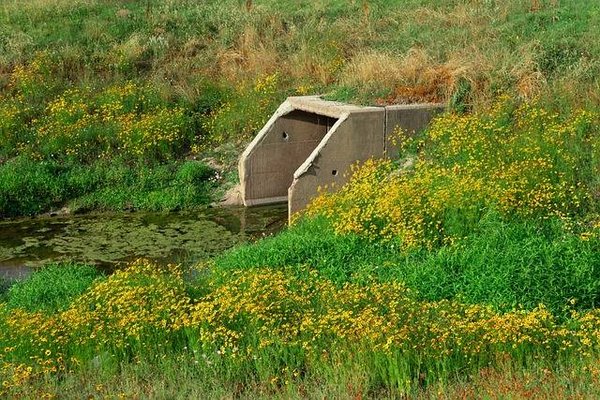 Quels sont les critères pour choisir une société de curage de canalisation lors d'une rénovation immobilière ?